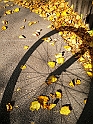 pix 103